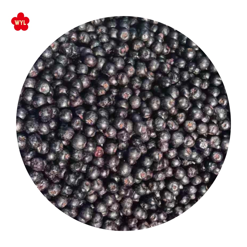 Premium Frozen Aronia – A New Addition to WYLFOODS Product Line