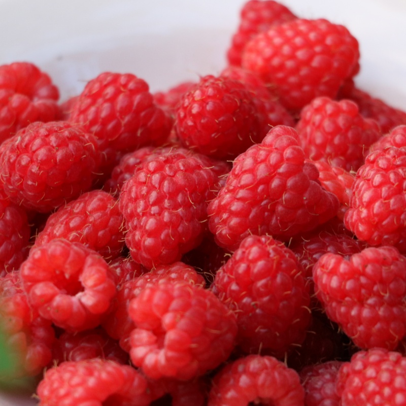 Superior Nutrient Retention