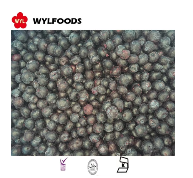 Get Your Hands on Our High-Quality Frozen Blueberries – Order Now!