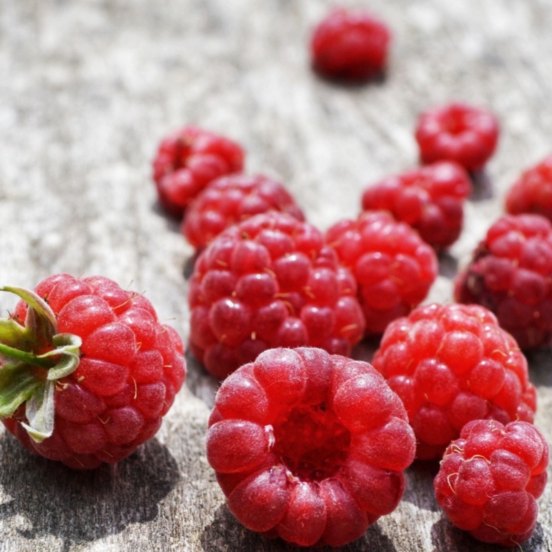 Superior Nutritional Preservation