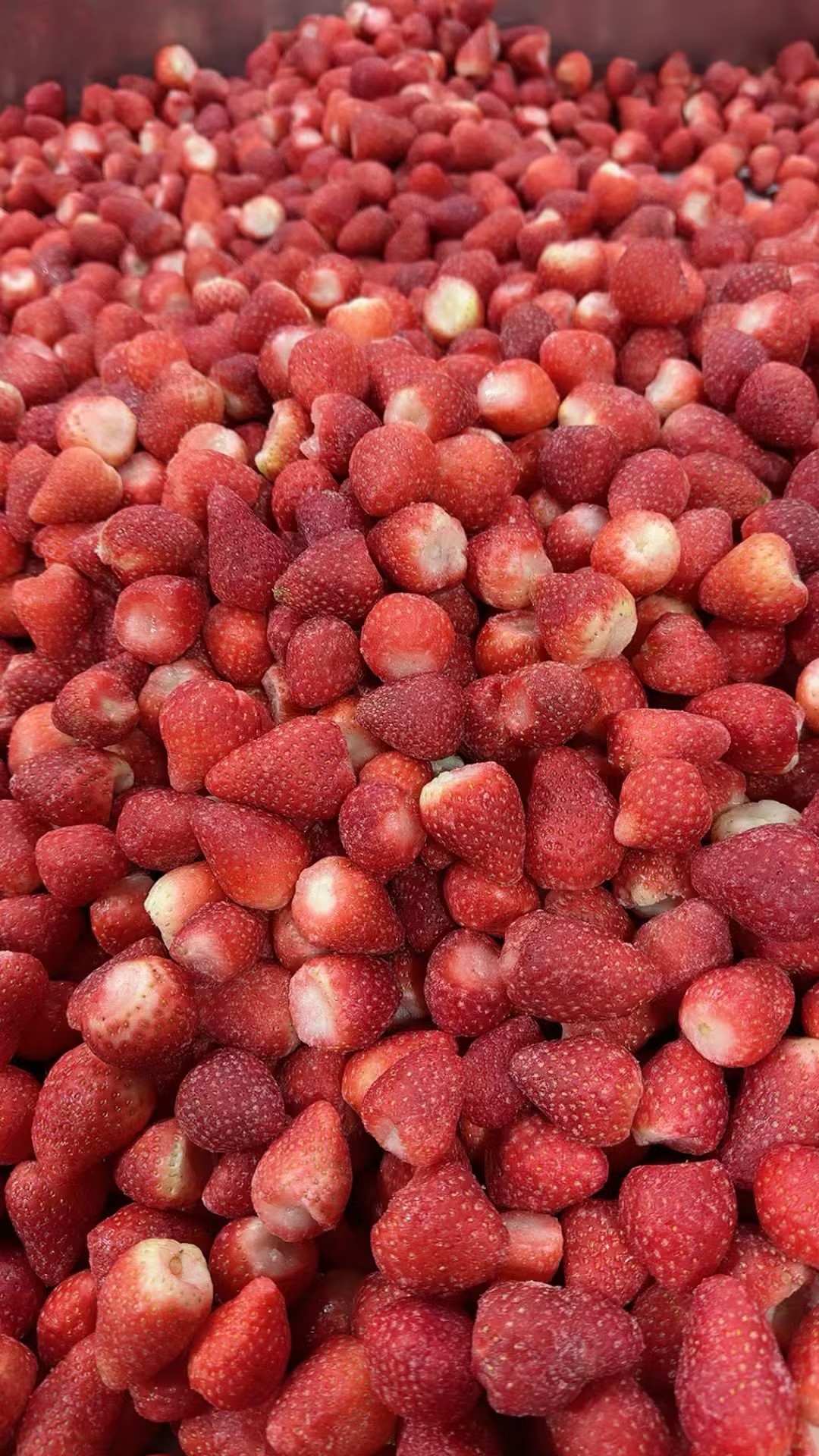 Safe, Traceable & Export-Ready Frozen Strawberry from WYLFOODS