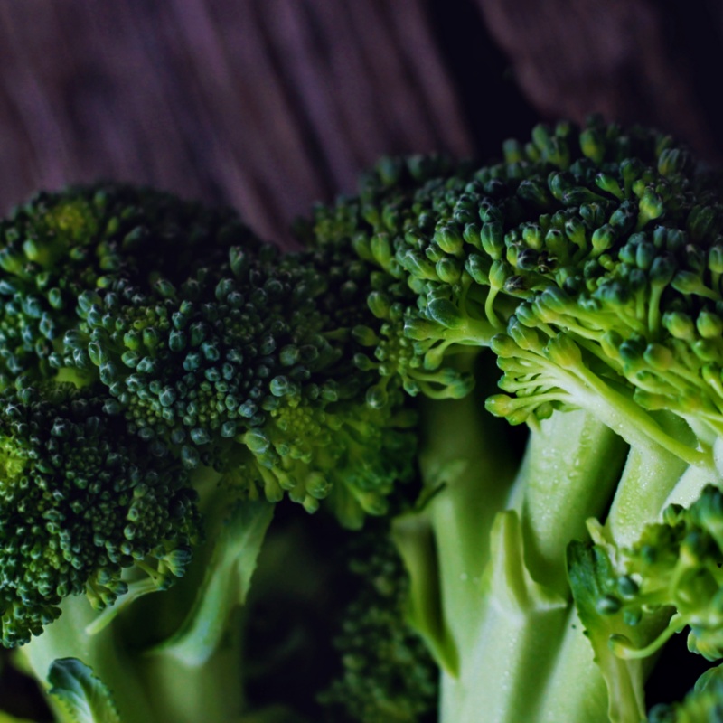 Superior Nutrient Retention Technology