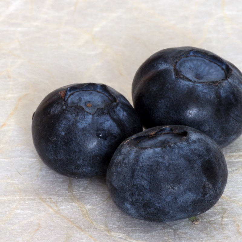 Superior Nutrient Retention