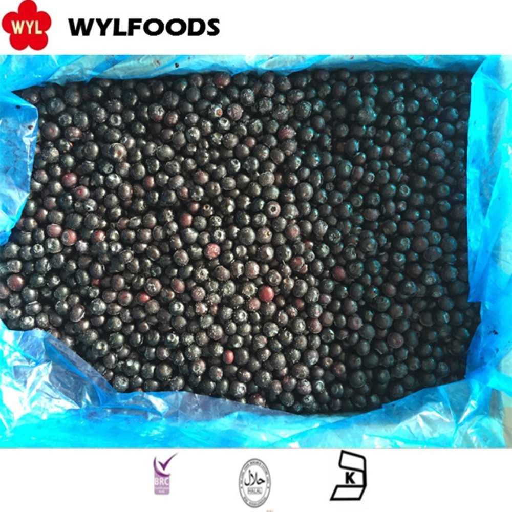 WYLFOODS: Global Bulk Supply, Hot-Selling Frozen Black Currants to Fulfill Your Needs