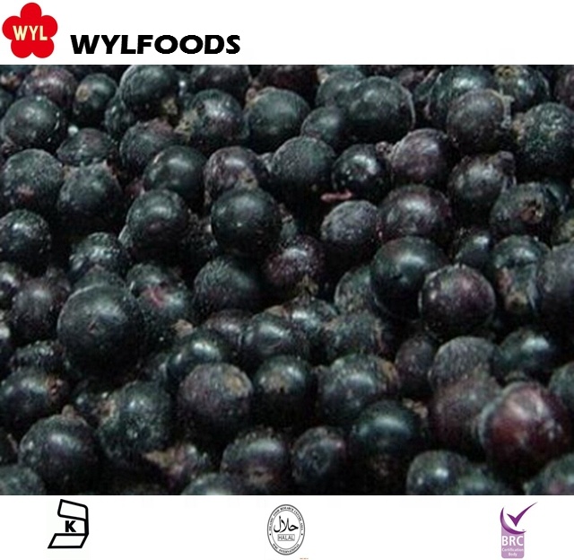 WYLFOODS Frozen Blackcurrant – Custom Cuts, Flexible Packing & Reliable Cold Chain Export