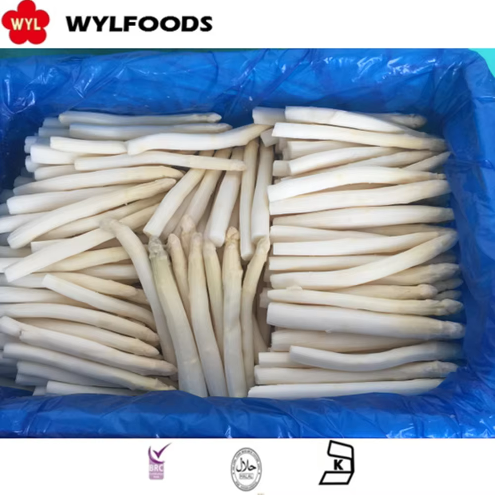 What Packaging Options Are Best for Bulk Frozen White Asparagus?