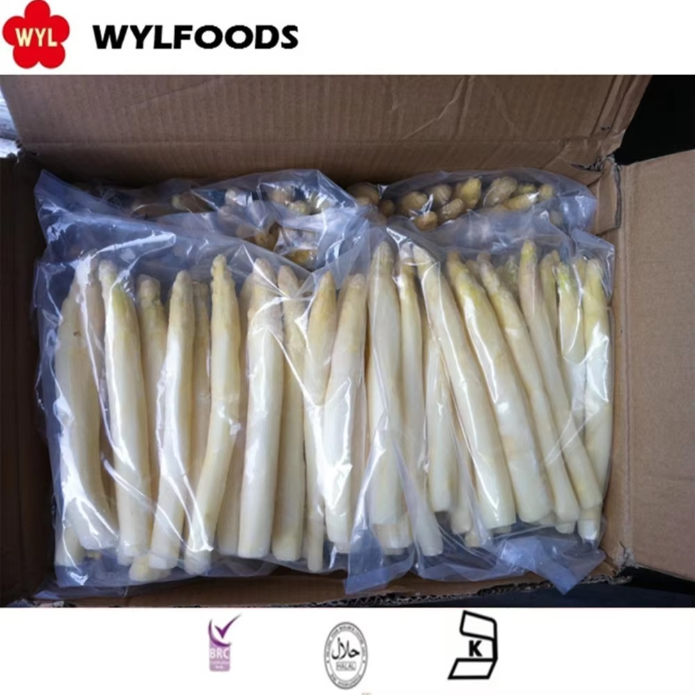Why Is Frozen White Asparagus an Ideal Choice for Food Service Businesses?