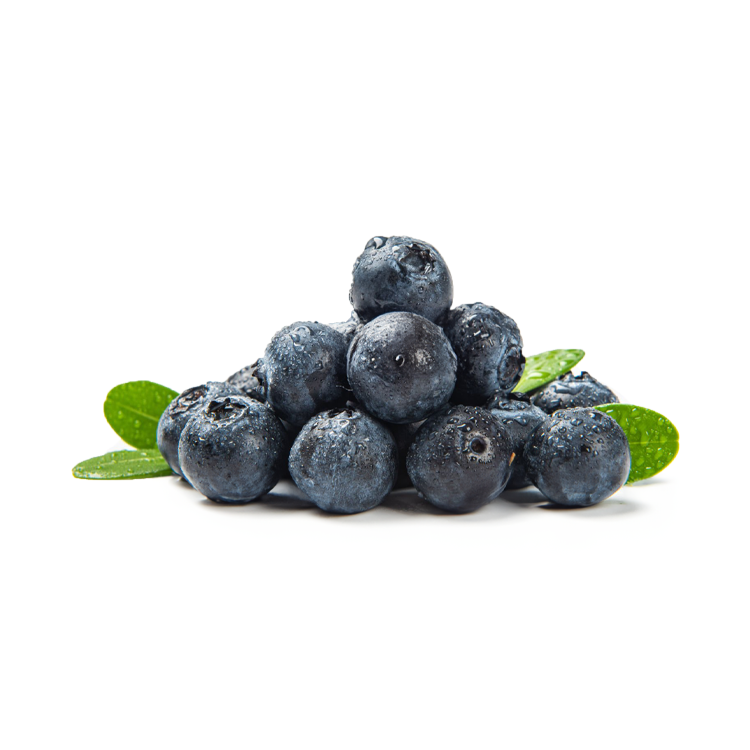 WYLFOODS – High-Quality Frozen Blueberries with Complete Certifications & Customization