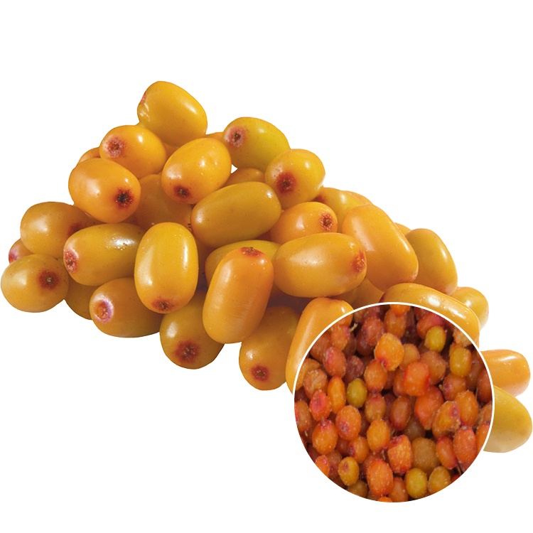 Premium Frozen Seabuckthorn: Your Trusted B2B Superfood Supplier
