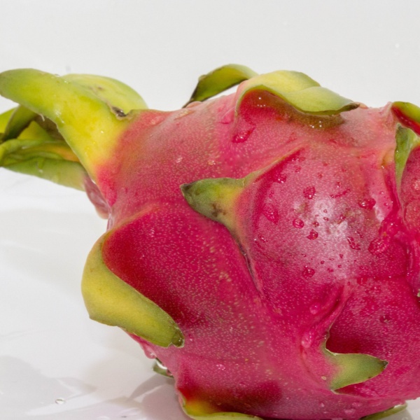 Exceptional Nutritional Value