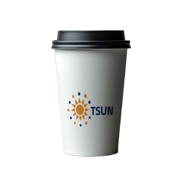 Coffee Paper Cups vs. Plastic: Which is Greener?