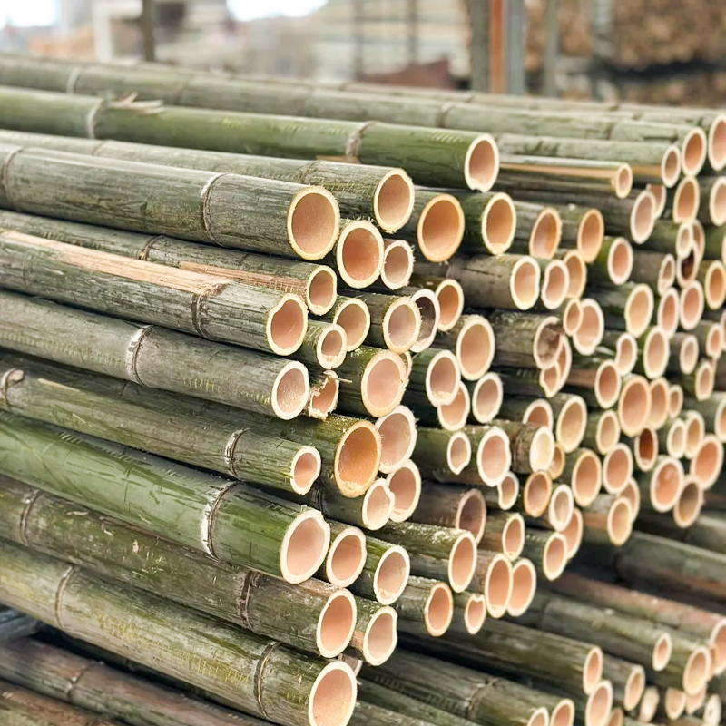Raw Material Inspection