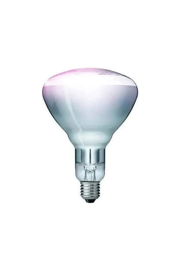 Philips bulb(0b8bc3229f).jpg
