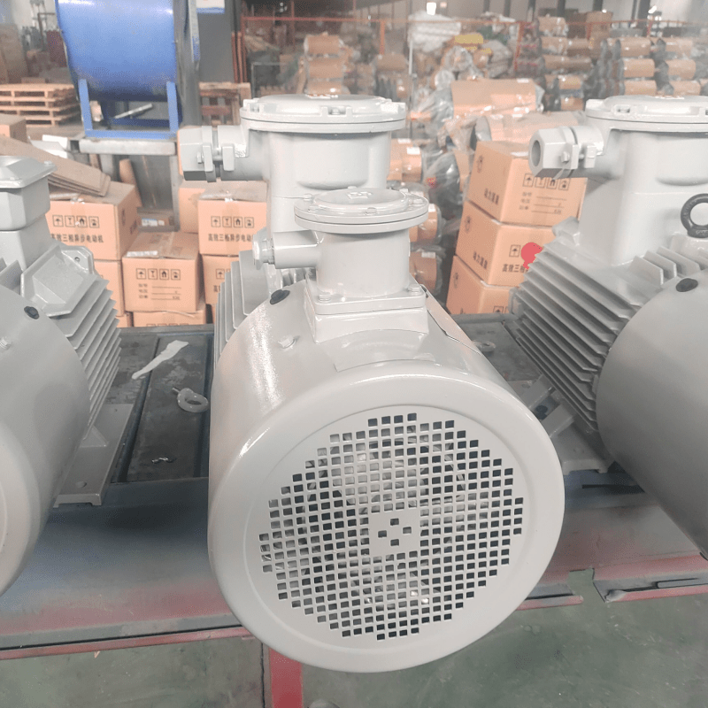 【YBBP315S-10 - YBBP315M-10】 【45-55kw】【61.2-74.8hp】 FLAMEPROOF THREE-PHASE ASYNCHRONOUS MOTOR