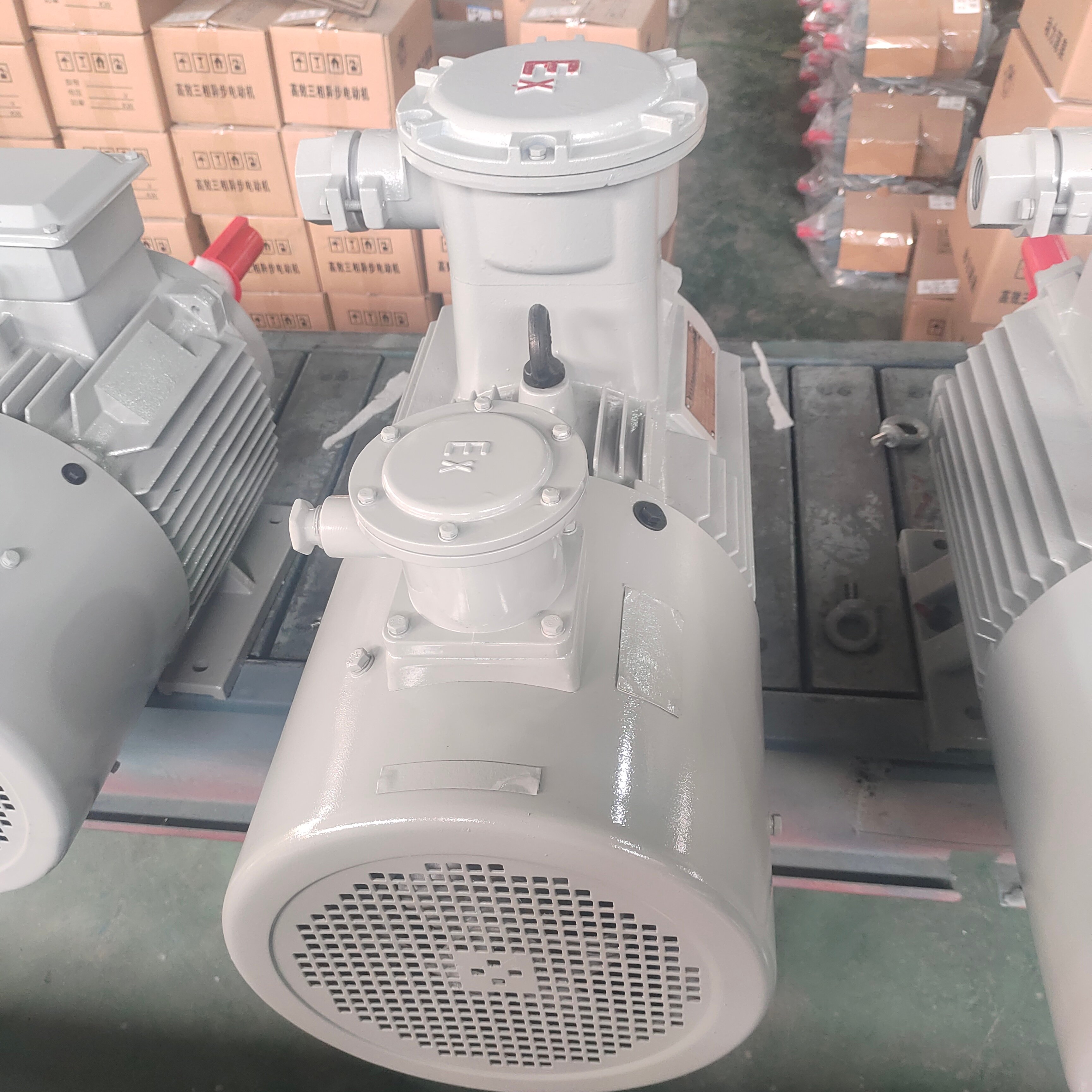 Variable Frequency Motors: Enhancing Speed Control in Industrial Processes