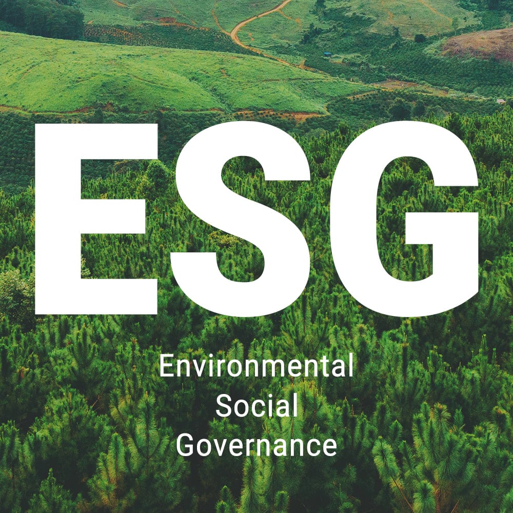 SELLMORE releases first ESG action report: Promoting sustainable innovation of global catering packaging