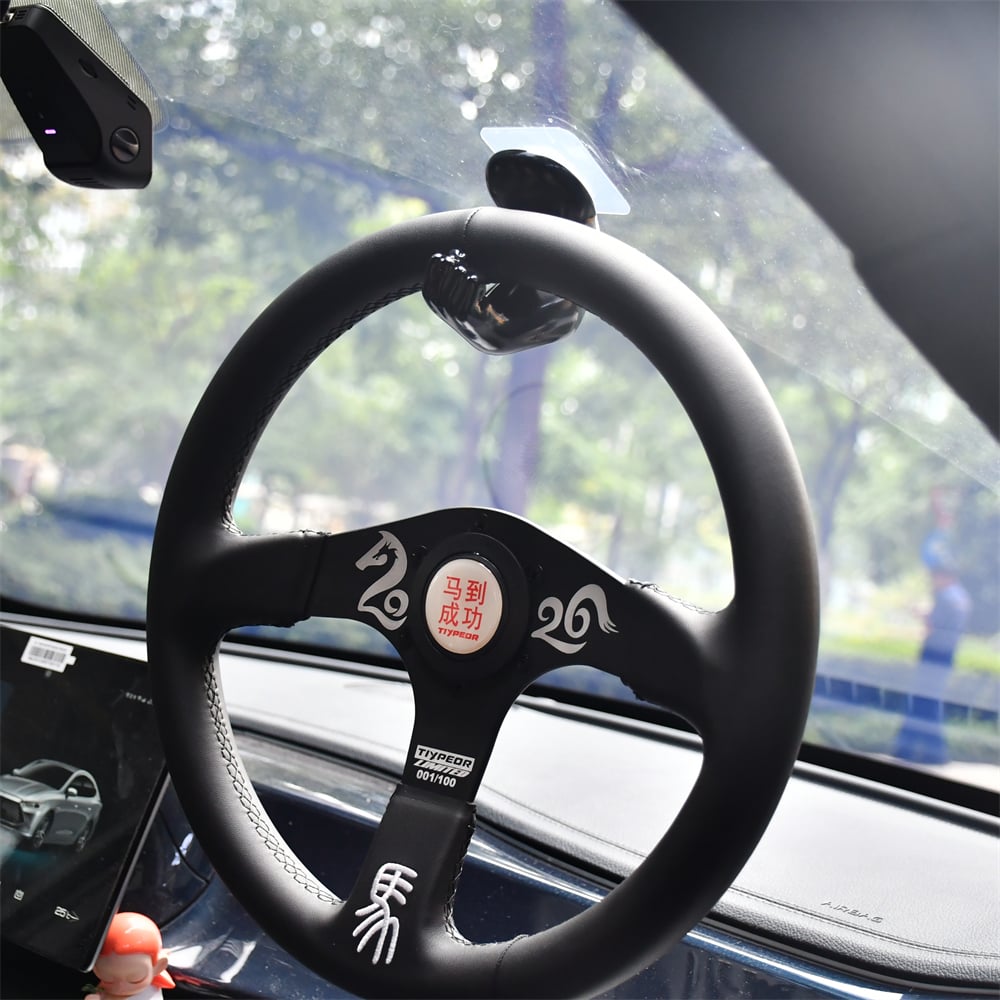 TIYPEOR Gancho Negro para Volante de Coche, Gancho para Parabrisas, Accesorio de Montaje para Automóvil y Hogar (011-02)