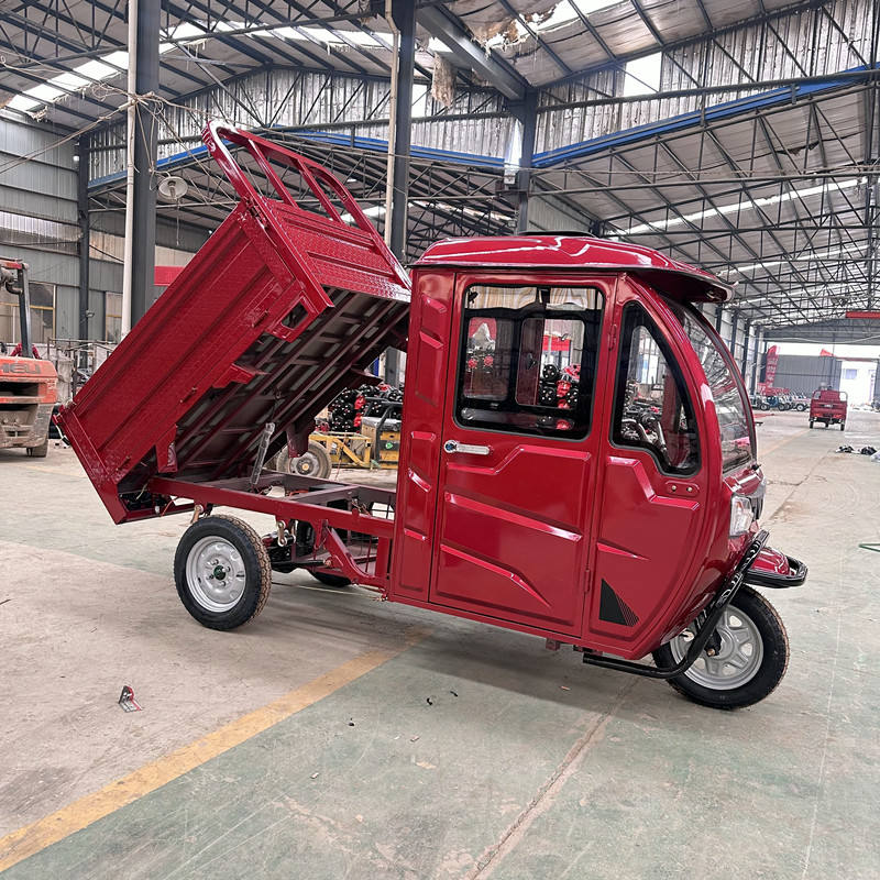 Cargo Electric Tricycle trike bike motorcycle for sale