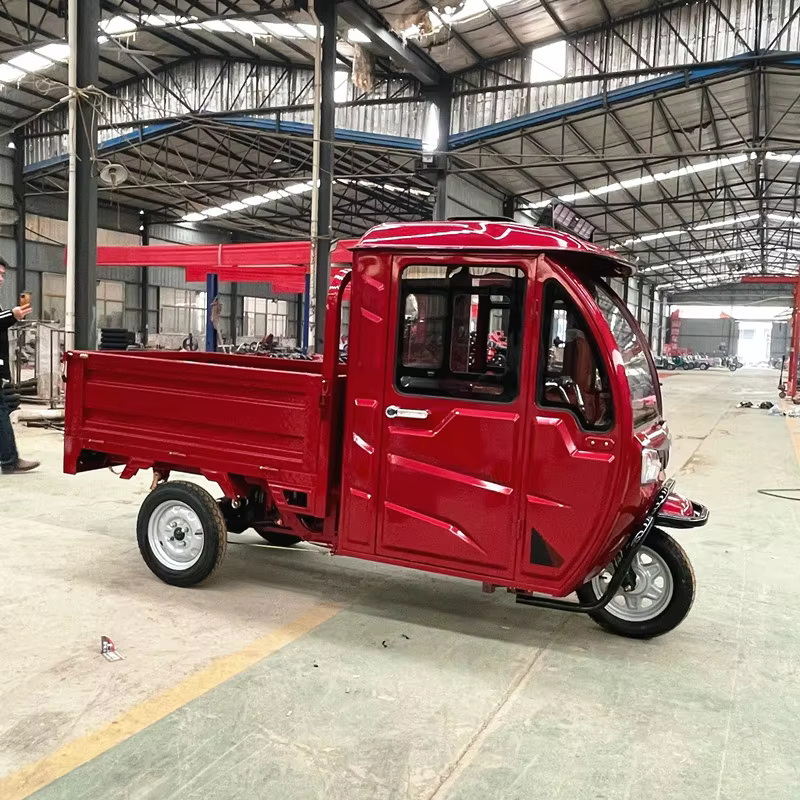 cargo electric tricycle mini dumper electric dump truck for adult material transport passenger-7