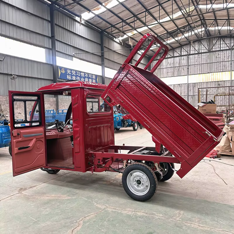 cargo electric tricycle mini dumper electric dump truck for adult material transport passenger-8