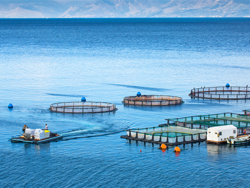 Multi - Parameter Online Monitoring for Lakes and Oceans