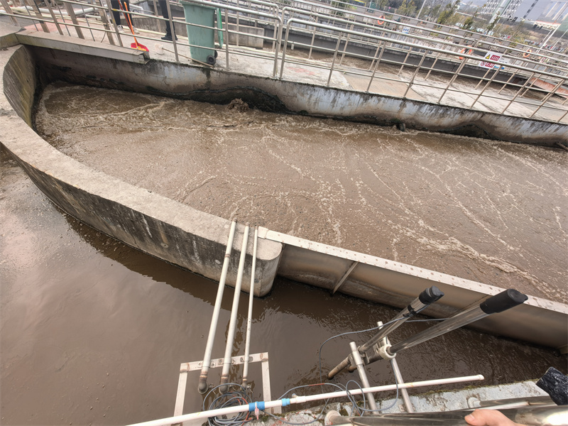 pH Online Monitoring in Denitrification Processes