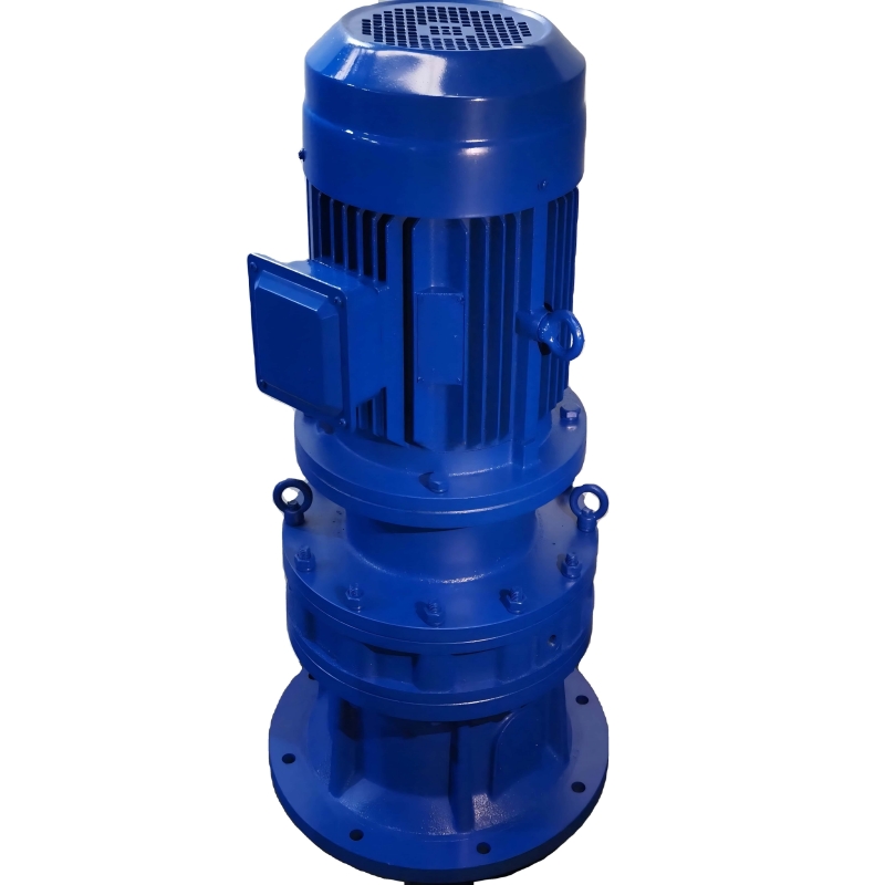 Cycloidal Pinwheel Reducer Cycloidal Needle Tooth Meshing Low Output Speed