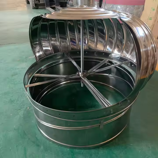 1751018196406.jpg