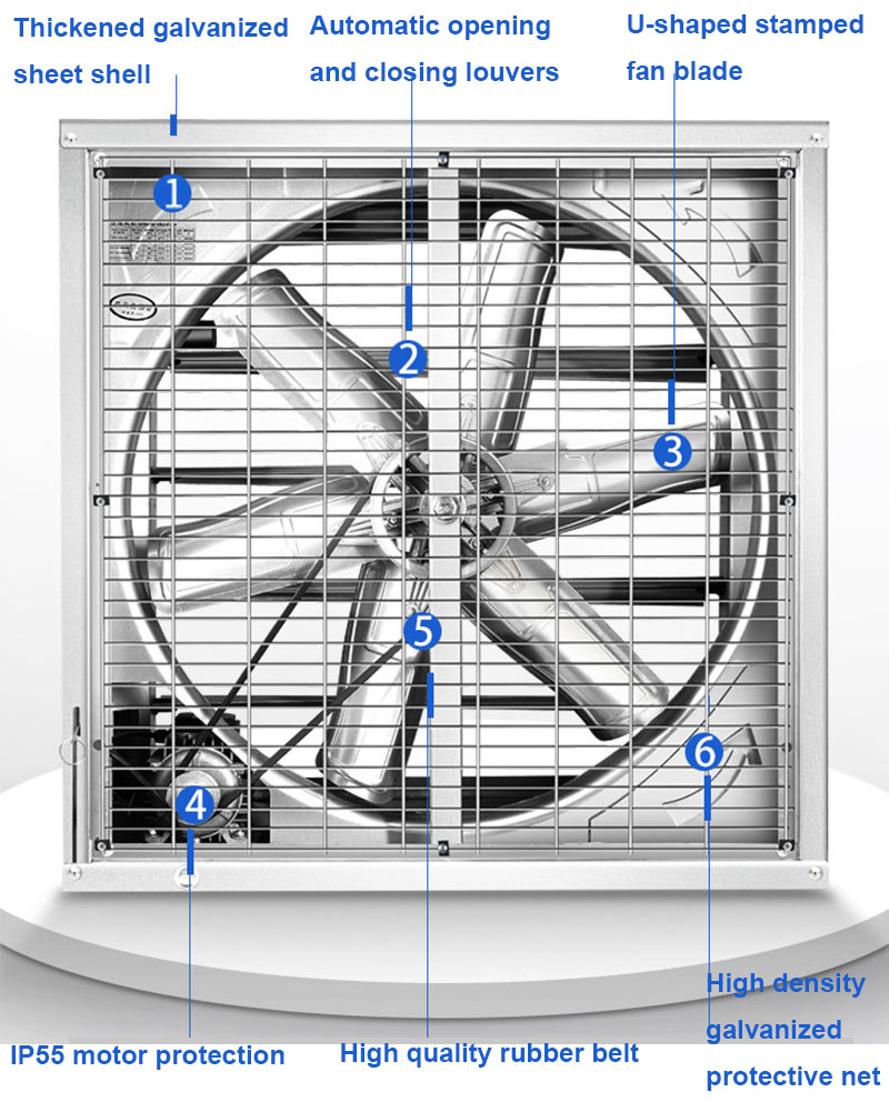 Six details.jpg