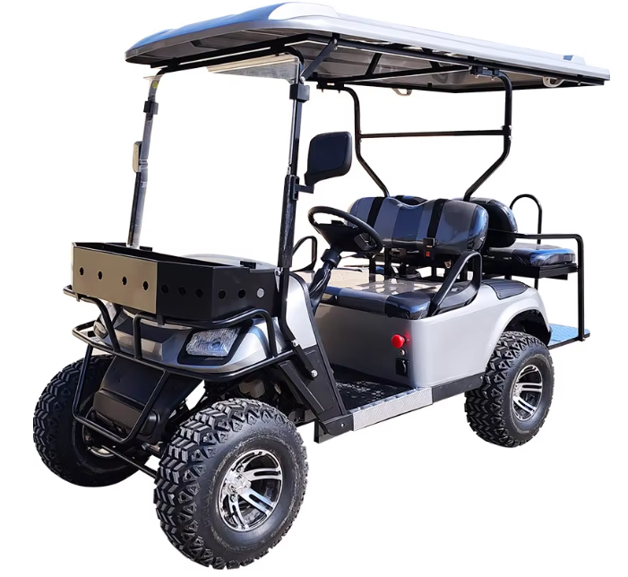 Qual è lo Stato Attuale del Mercato e la Tendenza Futura delle Carrelli Elettrici da Golf