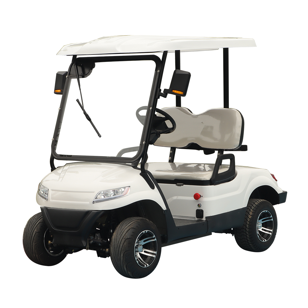 Advanced Electric Powertrain System