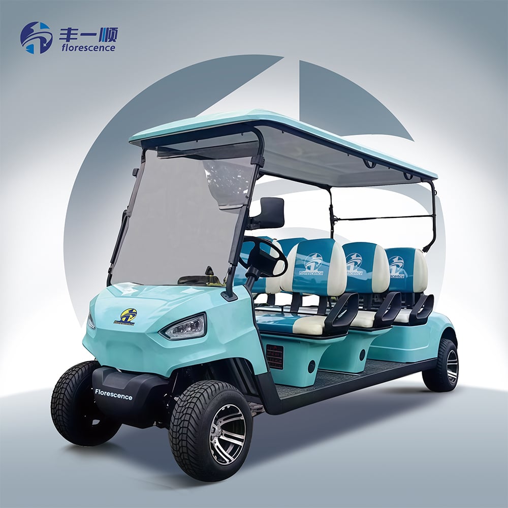 product 2 3  person 4kw 5kw electric ambulances golf carts lithium or lead acid batterywith remote roof foshan freight shipping-17