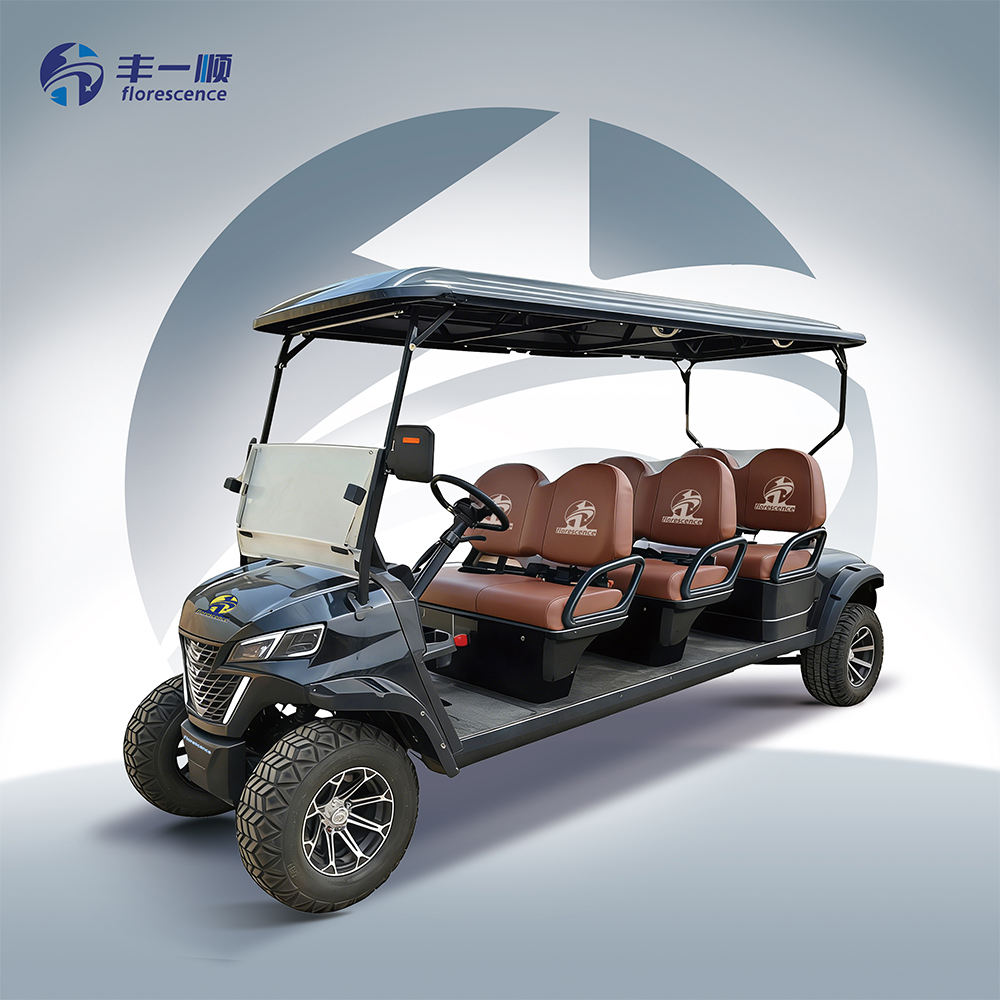 CE 2025 Tilpasningsbar 6-pladser Elektrisk Golfvogn Høj kvalitet Buggy med 48V Lithium-batteri Lav pris Kompatibel med Club Car