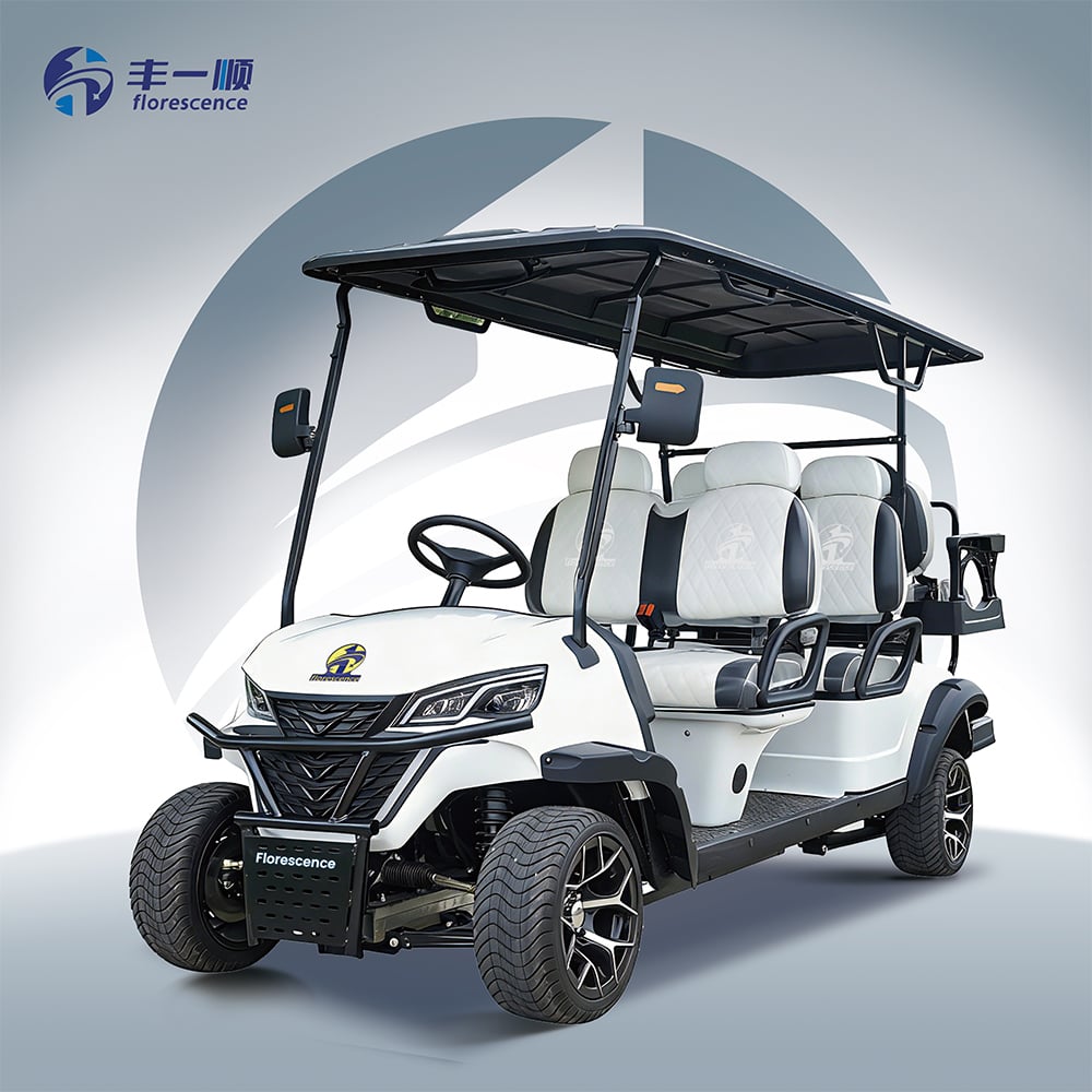 4+2 sæder off-road jagt el golfvogn direktepris scenic sightseeing golf buggy til salg
