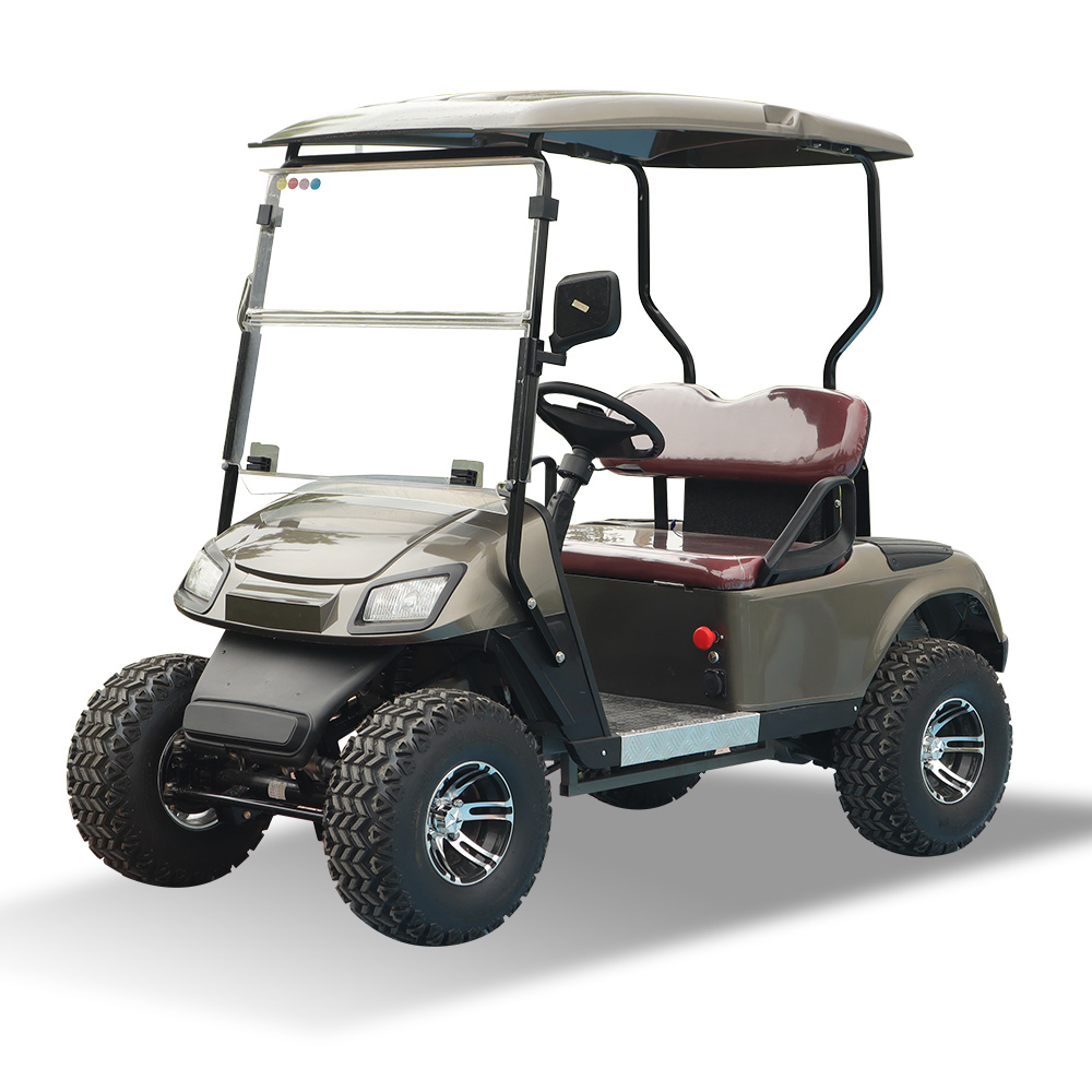 Customization and Upgrade Services