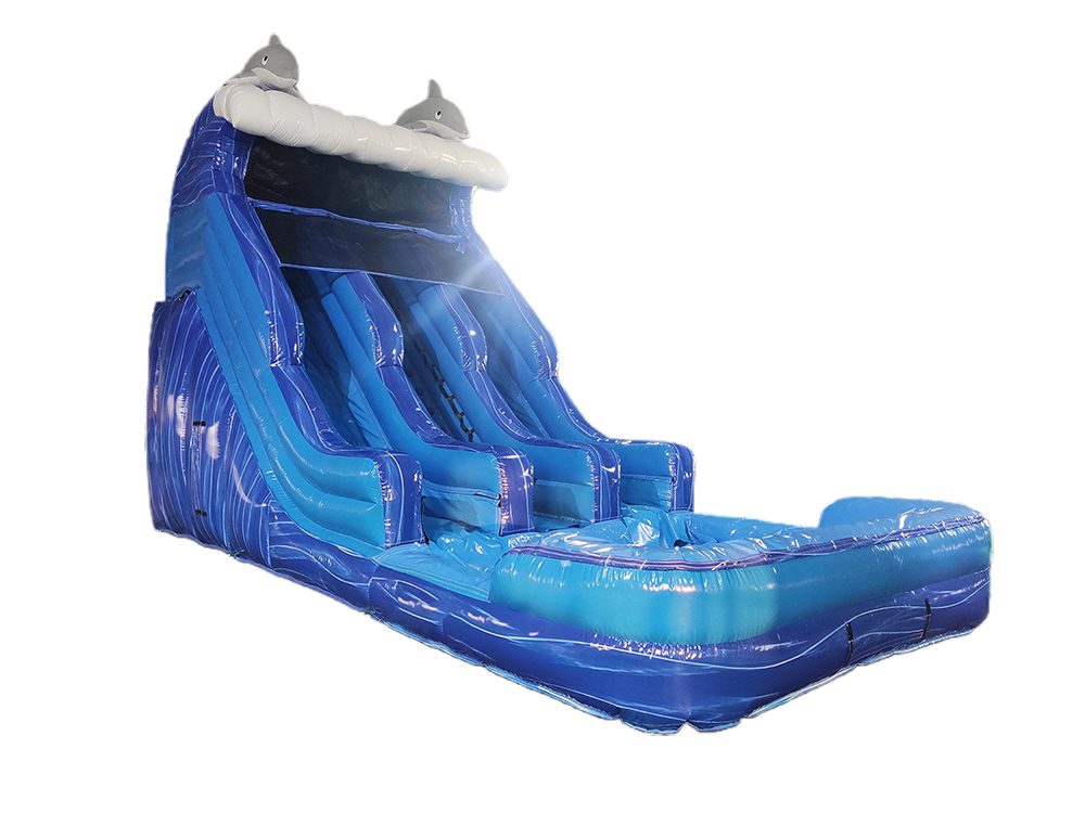 Dolphin Themed Double-Lane Glittering Inflatable Water Slide Playground