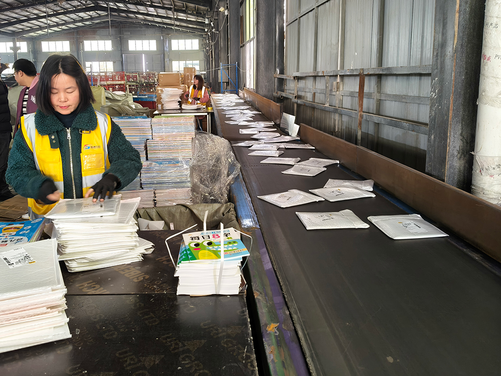 Expert Team
