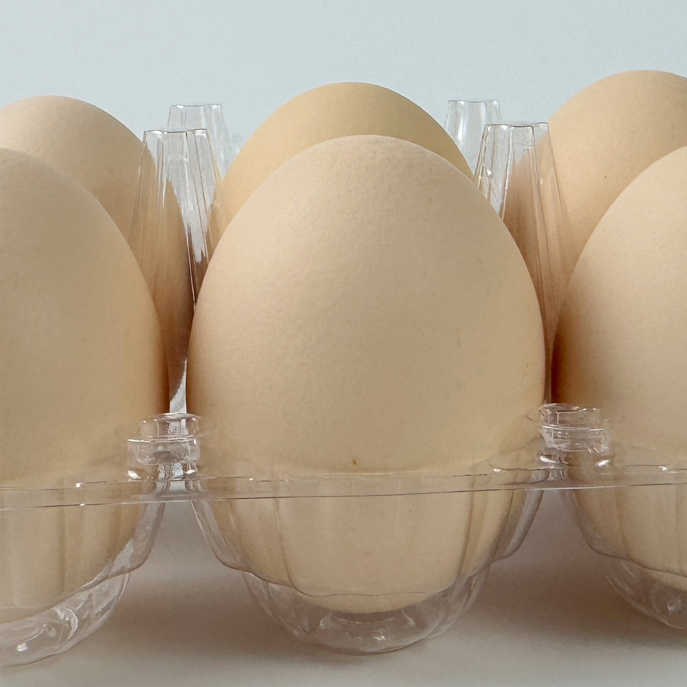 How to Optimize Your Egg Packaging with Clear Plastic Egg Trays