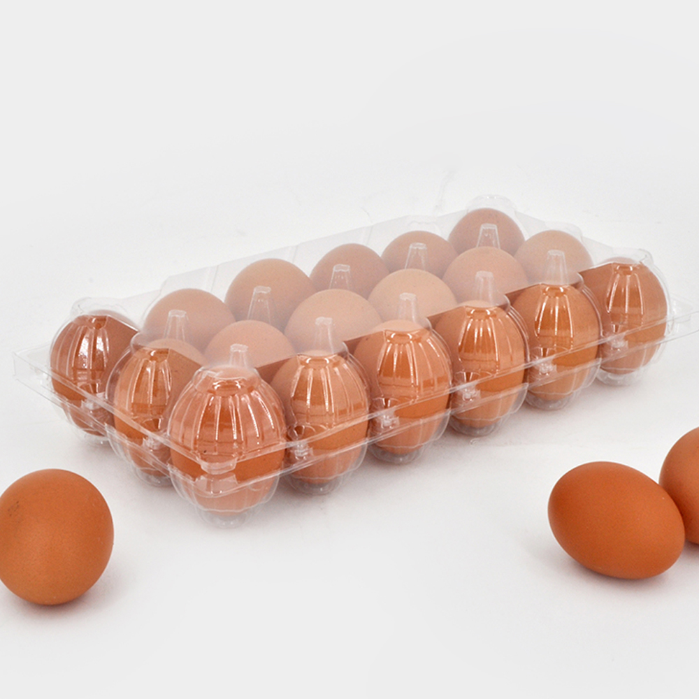 Where to Find High-Quality Clear Egg Cartons at Competitive Prices