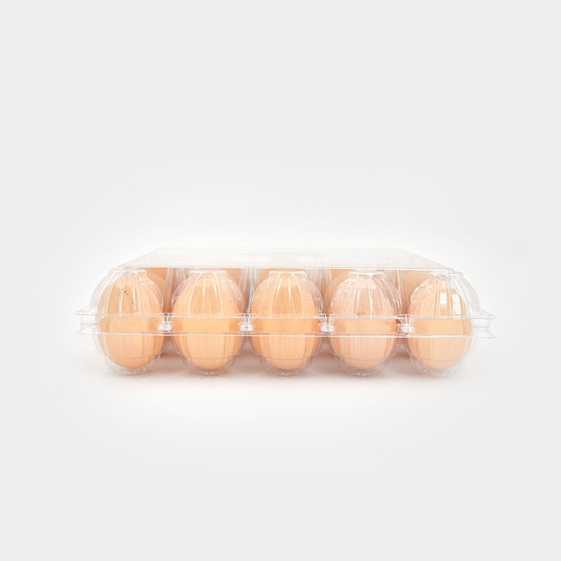 Where to Find Affordable Wholesale Clear Plastic Egg Trays Online