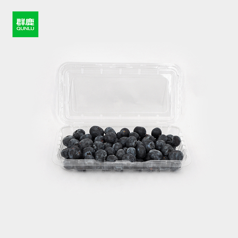 Installation Guidance for Blueberry Clamshell Packaging Solutions