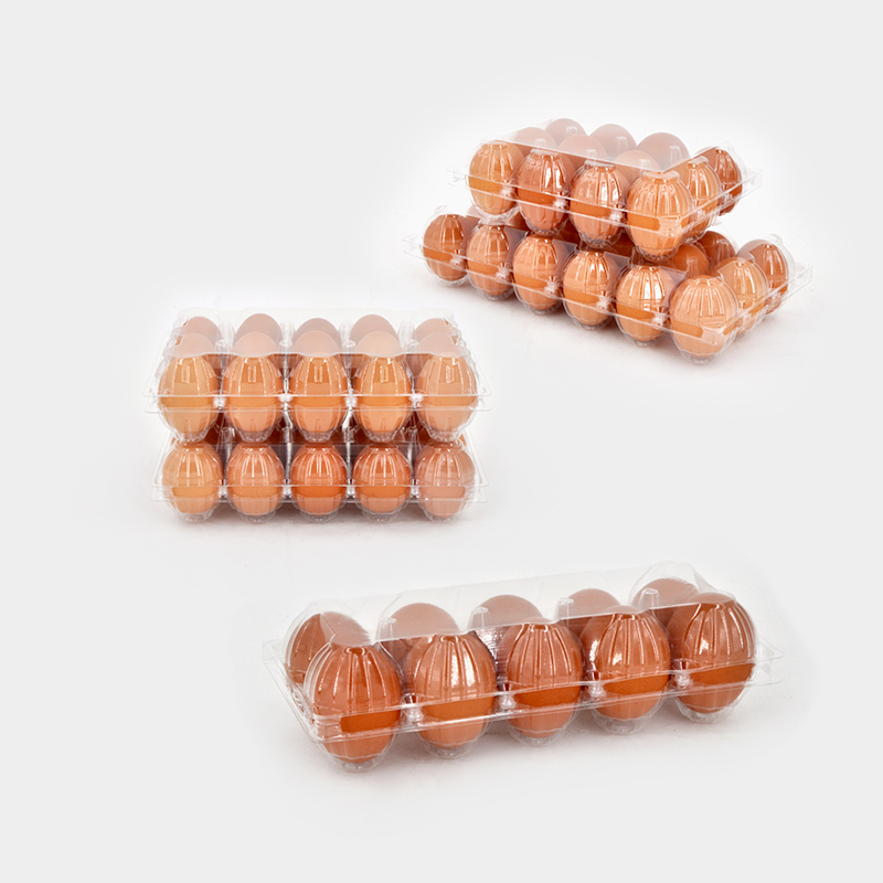 Where to Buy Bulk Clear Egg Cartons for Maximum Savings