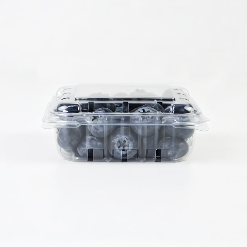 What Makes Hinged Plastic Containers a Smart Choice for Wholesale Purchasing?