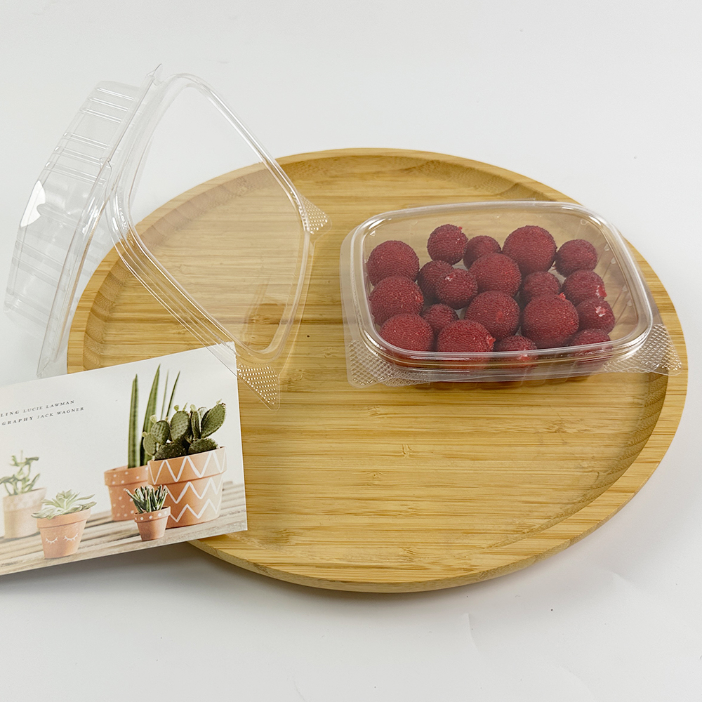 How to Maximize Efficiency with Wholesale Clear Deli Containers