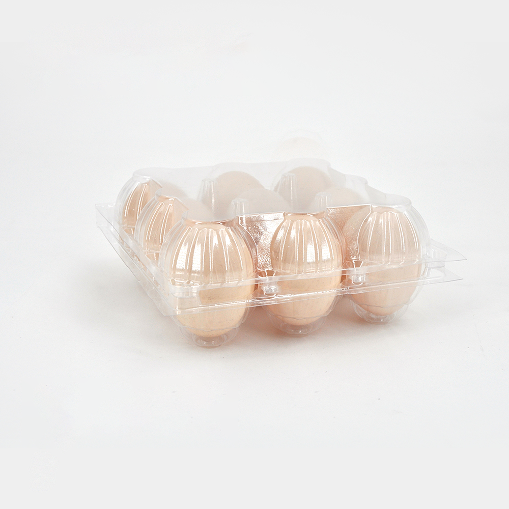 Common Usage Issues with Plastic Egg Boxes and How to Avoid Them