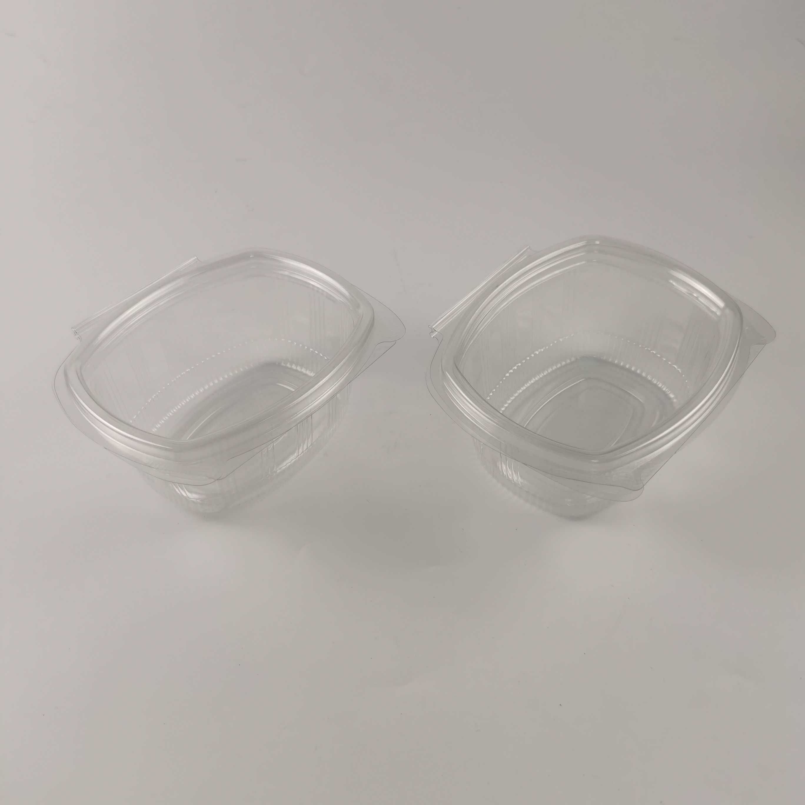 What Are the Common Issues with Food Containers and How to Avoid Them?
