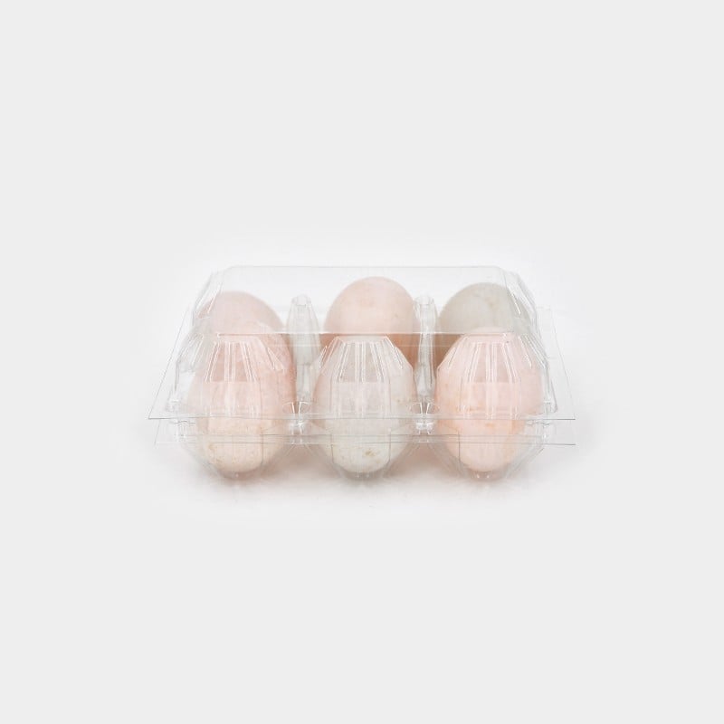 Common Usage Issues with Clear Plastic Egg Containers and How to Avoid Them