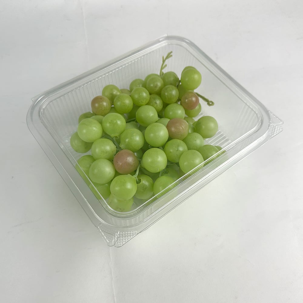 Wholesale Sourcing Options for Food Clamshell Packaging