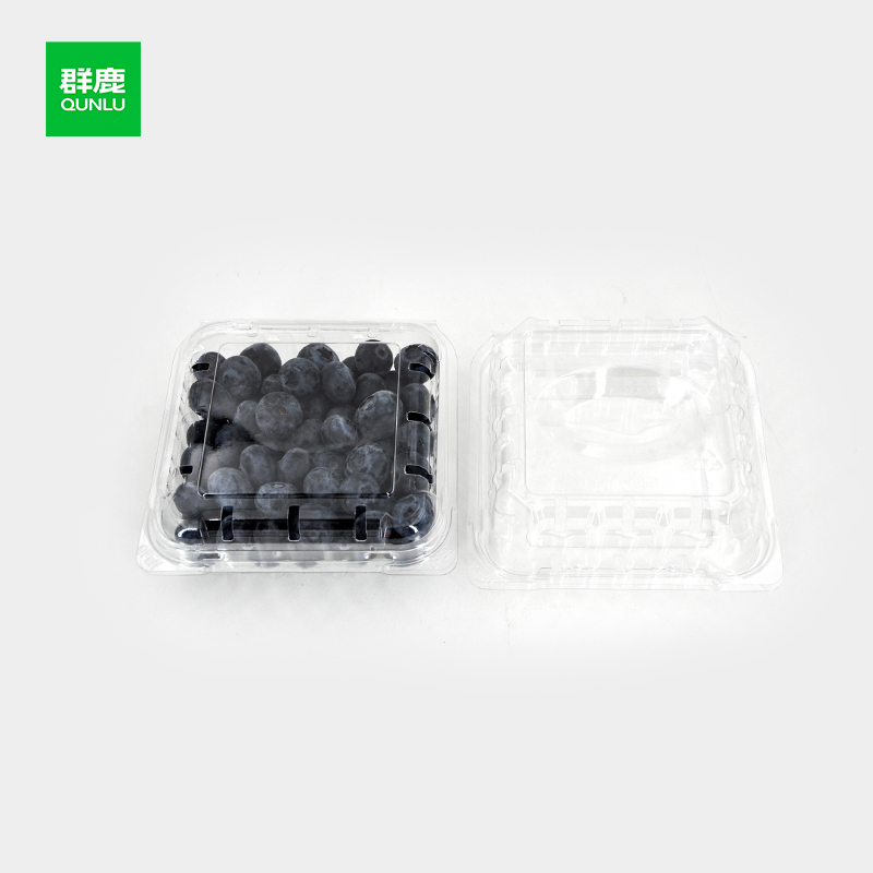 Key Specifications for High-Quality Blueberry Clamshell Packaging