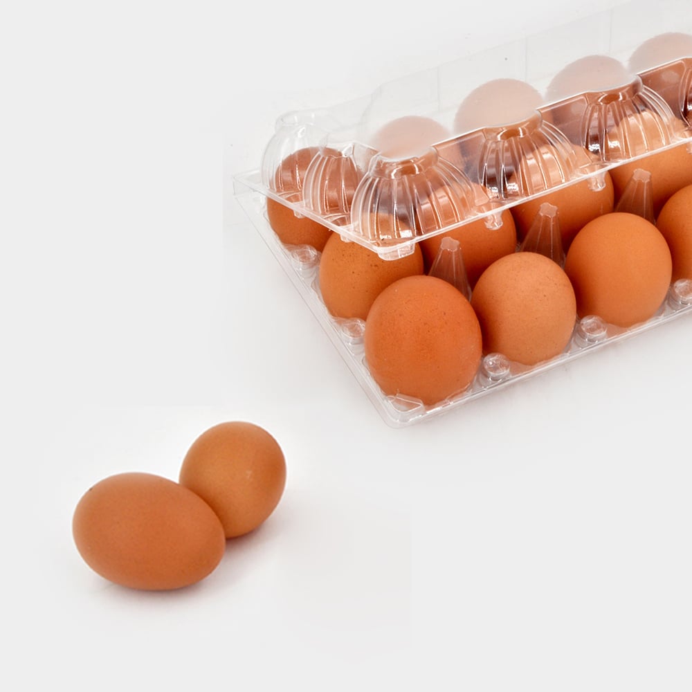 How to Optimize Your Packaging with Eco-Friendly Clear Egg Cartons